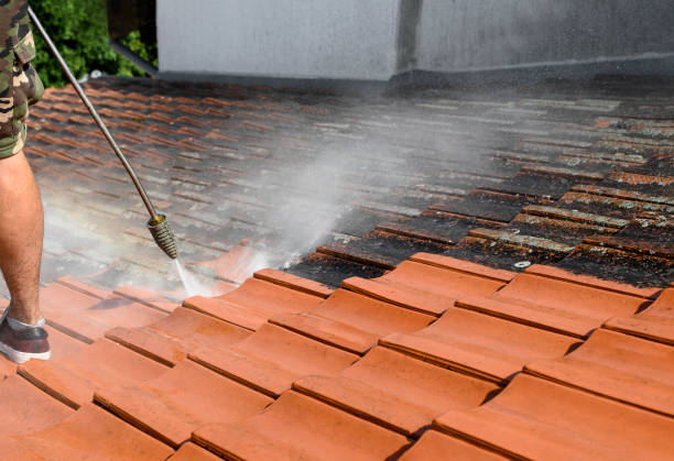 Best Roof Pressure Washing  in Rio Rancho Estates, NM